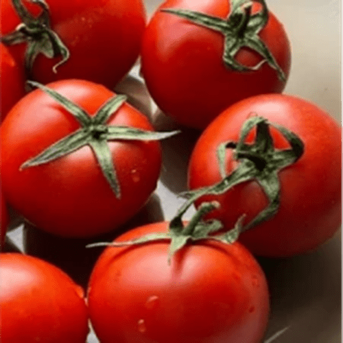 طماطم طازجة ناضجة على الكرمة